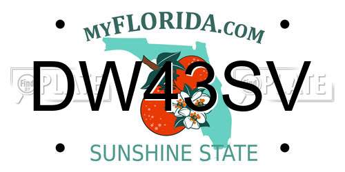 DW43SV Florida License Plate