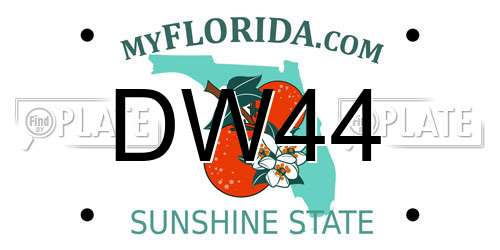DW44 Florida License Plate