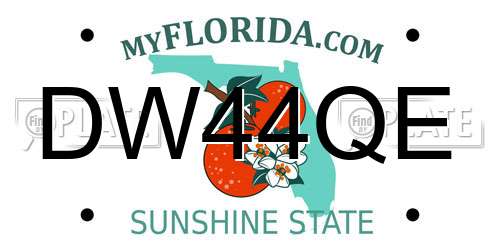 DW44QE Florida License Plate