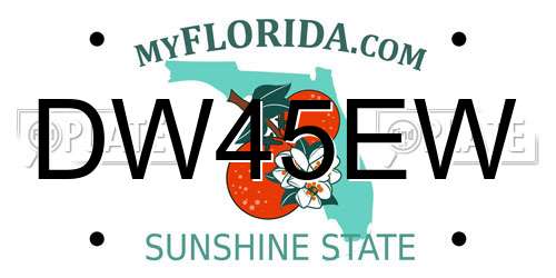 DW45EW Florida License Plate