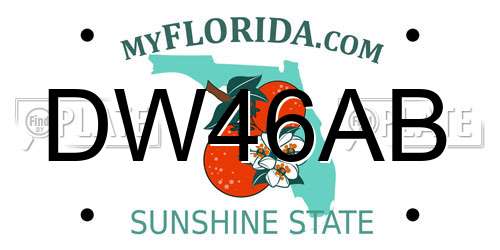 DW46AB Florida License Plate