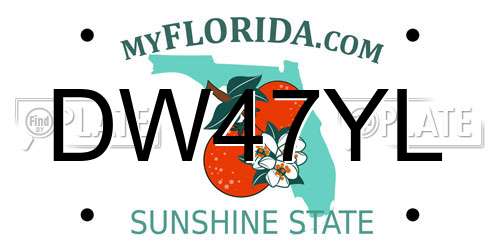 DW47YL Florida License Plate