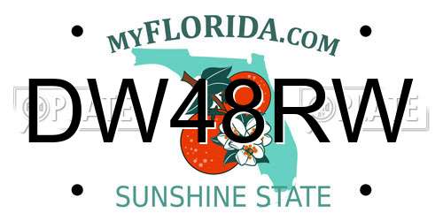 DW48RW Florida License Plate