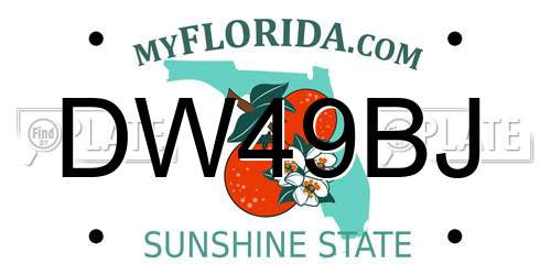 DW49BJ Florida License Plate