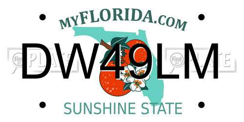 DW49LM Florida License Plate