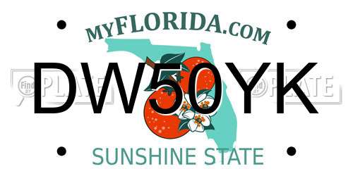 DW50YK Florida License Plate