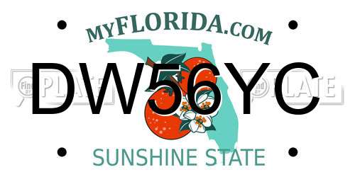 DW56YC Florida License Plate