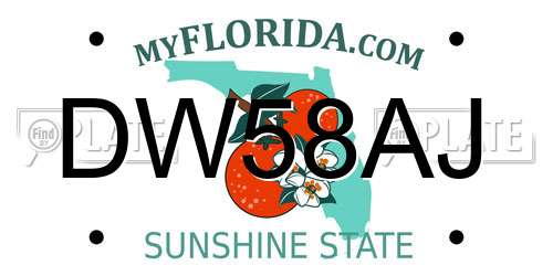 DW58AJ Florida License Plate