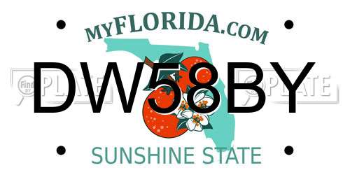 DW58BY Florida License Plate