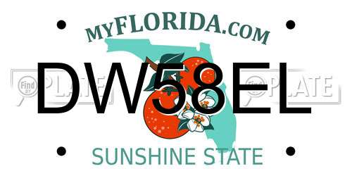 DW58EL Florida License Plate