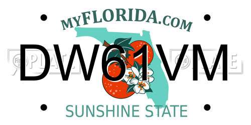 DW61VM Florida License Plate
