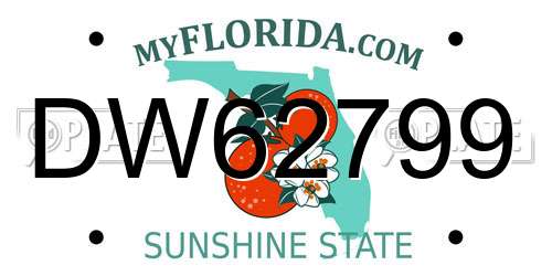 DW62799 Florida License Plate