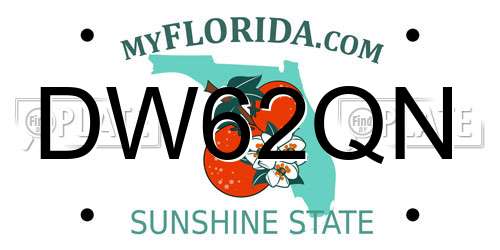DW62QN Florida License Plate