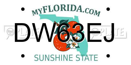 DW63EJ Florida License Plate