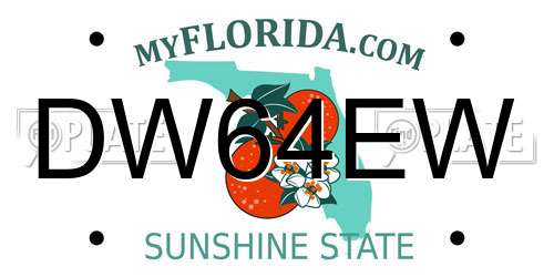 DW64EW Florida License Plate