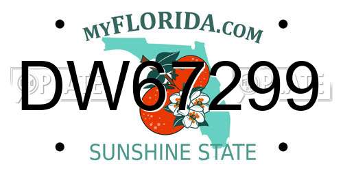 DW67299 Florida License Plate
