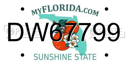 DW67799 Florida License Plate