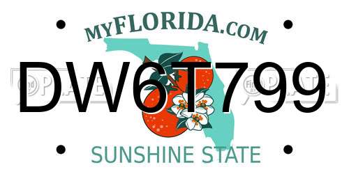 DW6T799 Florida License Plate