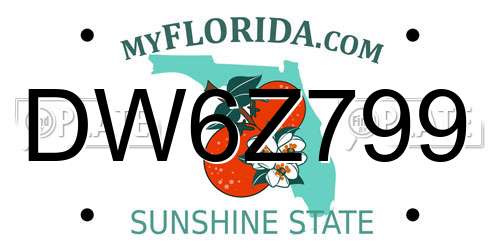 DW6Z799 Florida License Plate