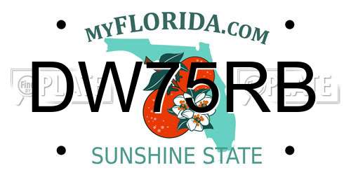 DW75RB Florida License Plate