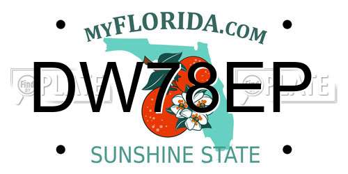 DW78EP Florida License Plate