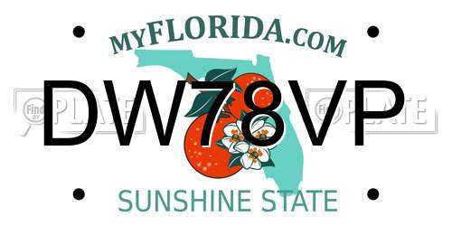 DW78VP Florida License Plate
