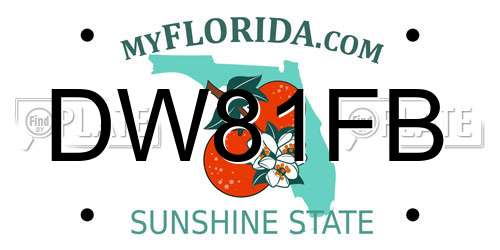 DW81FB Florida License Plate