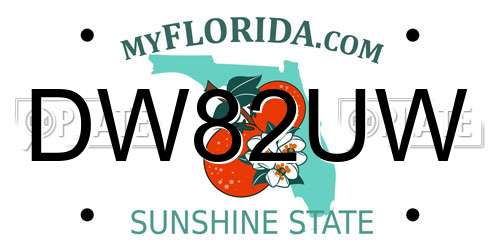 DW82UW Florida License Plate
