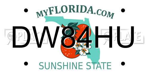 DW84HU Florida License Plate