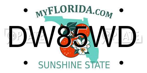 DW85WD Florida License Plate