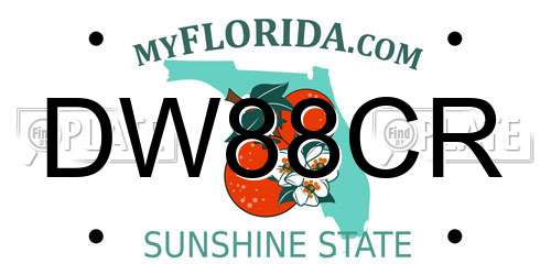 DW88CR Florida License Plate