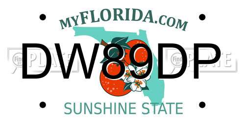 DW89DP Florida License Plate
