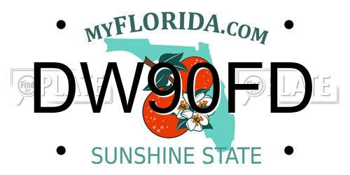 DW90FD Florida License Plate