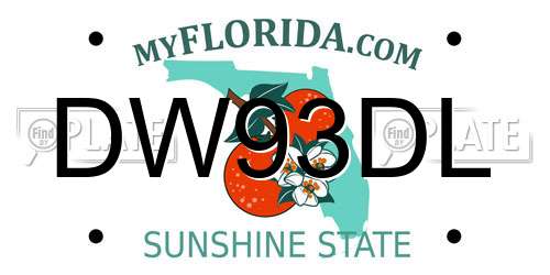 DW93DL Florida License Plate
