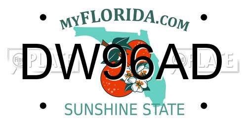 DW96AD Florida License Plate