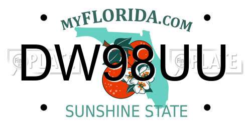 DW98UU Florida License Plate