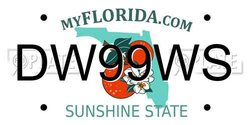 DW99WS Florida License Plate