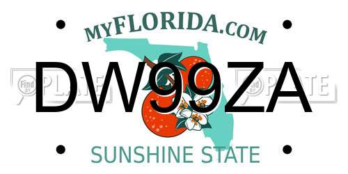 DW99ZA Florida License Plate
