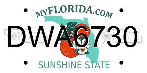 DWA6730 Florida License Plate