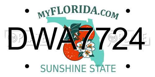 DWA7724 Florida License Plate
