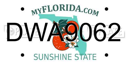 DWA9062 Florida License Plate