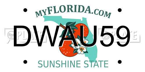 DWAU59 Florida License Plate