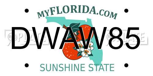 DWAW85 Florida License Plate