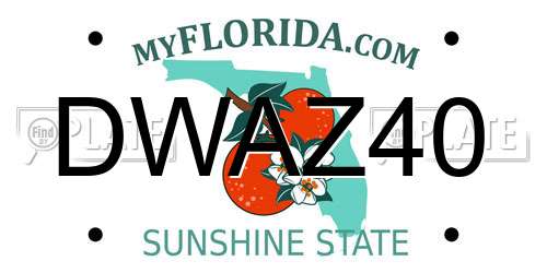 DWAZ40 Florida License Plate
