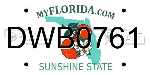 DWB0761 Florida License Plate