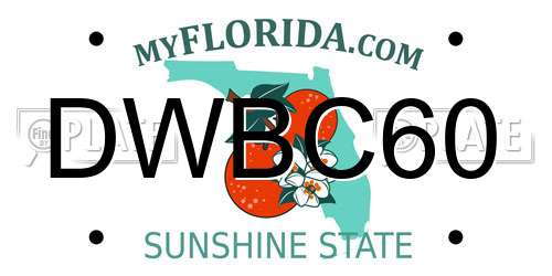 DWBC60 Florida License Plate