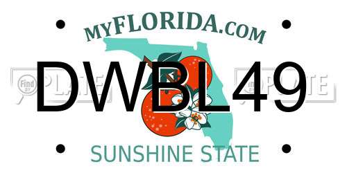 DWBL49 Florida License Plate