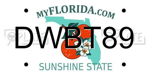 DWBT89 Florida License Plate