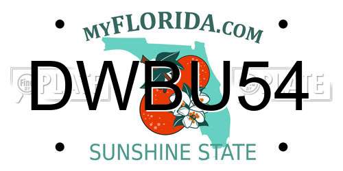 DWBU54 Florida License Plate