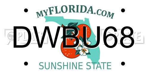 DWBU68 Florida License Plate